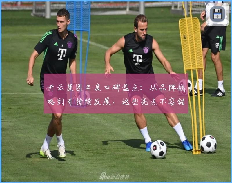 开云集团年度口碑盘点：从品牌战略到可持续发展，这些亮点不容错过