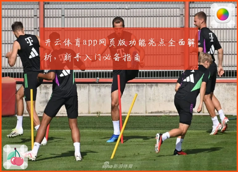 开云体育app网页版功能亮点全面解析，新手入门必备指南
